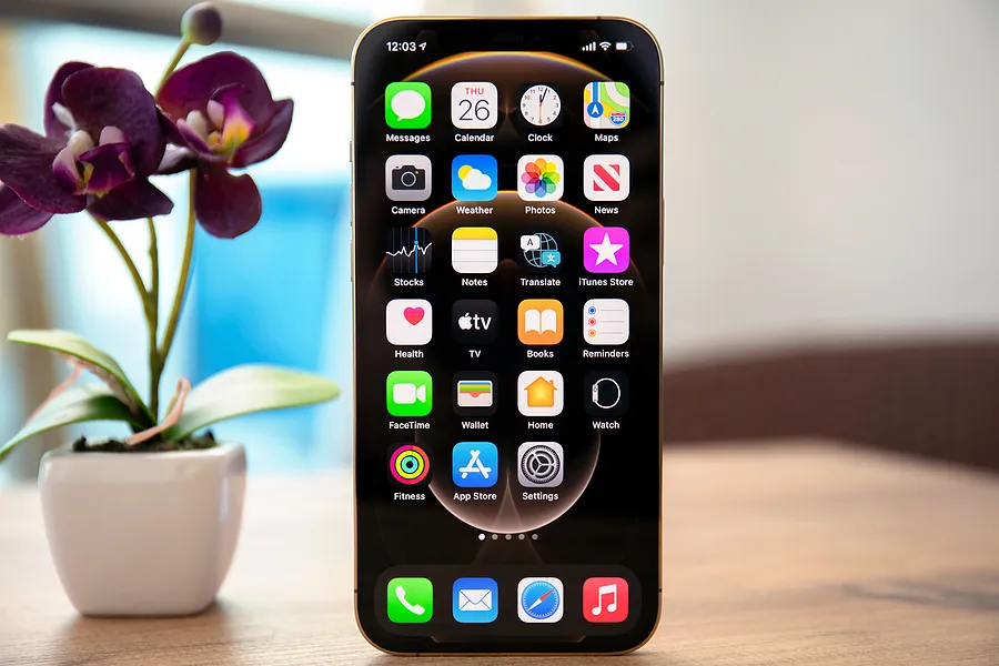 花の隣に置かれたiPhone