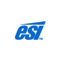 E&S International Enterprises (ESI) のロゴ
